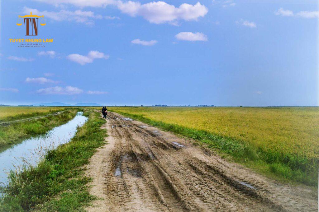 quy trinh giai quyet tranh chap dat dai 