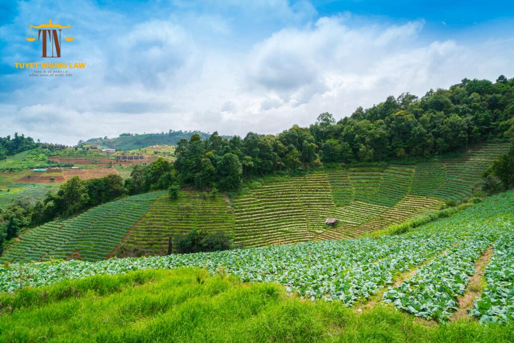 cấp lại giấy chứng nhận