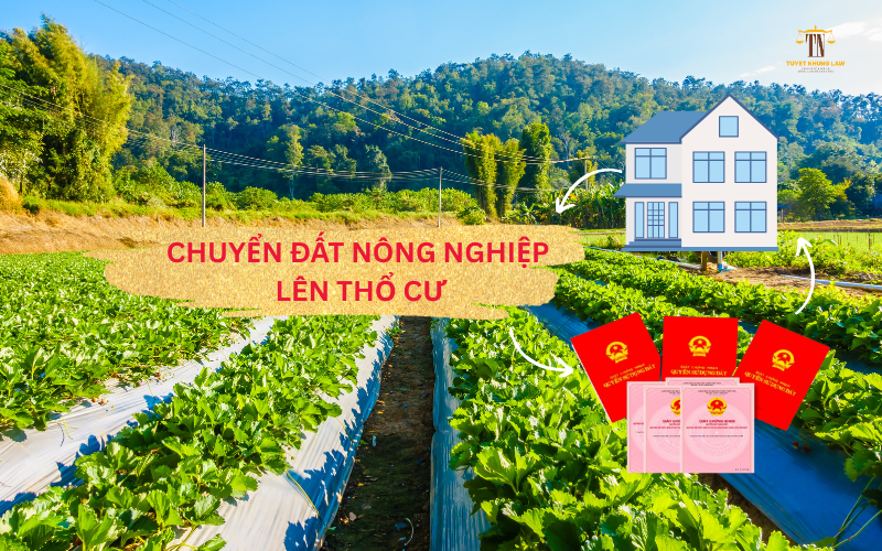 đất nông nghiệp